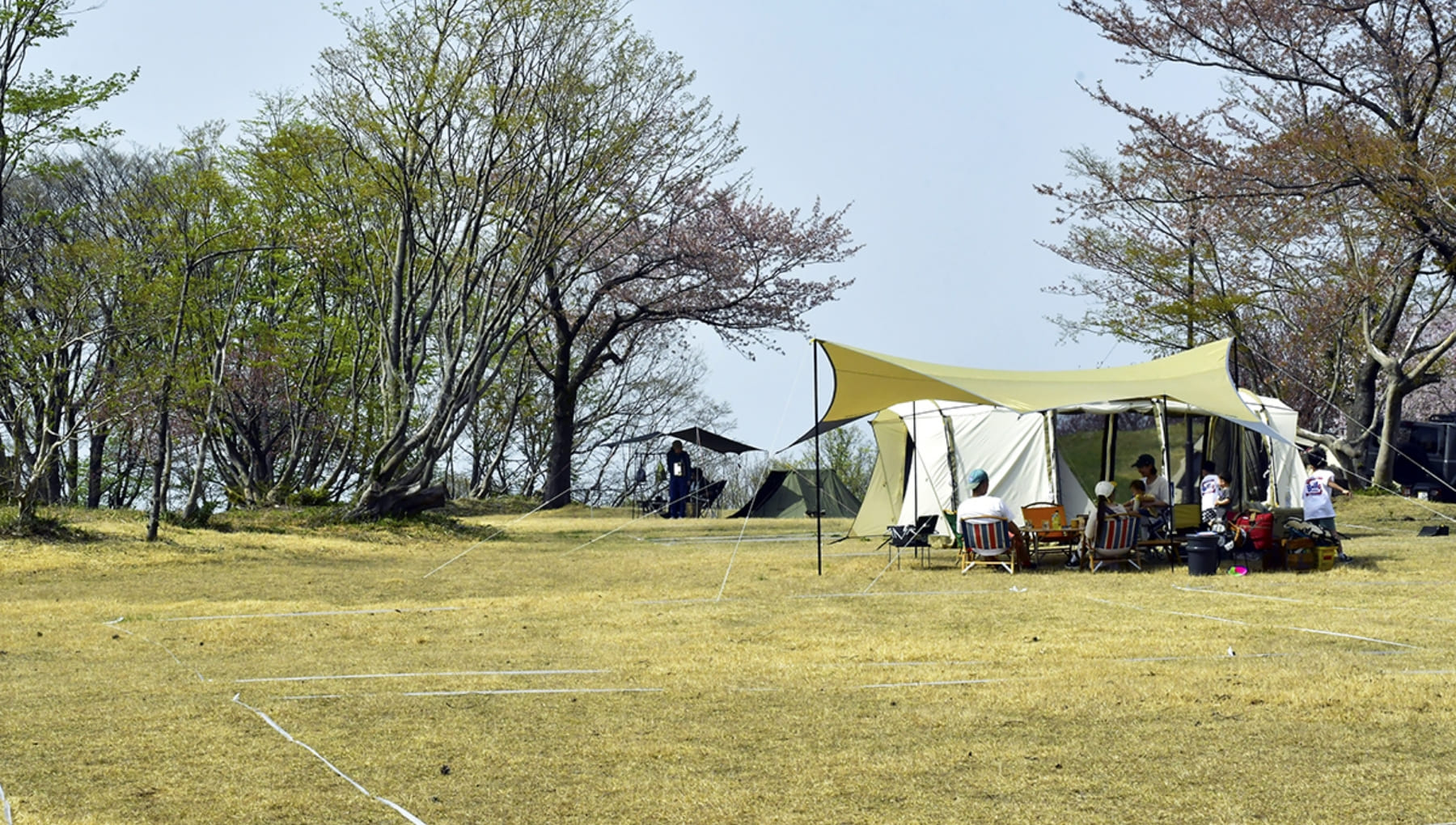 キャンプ場全景