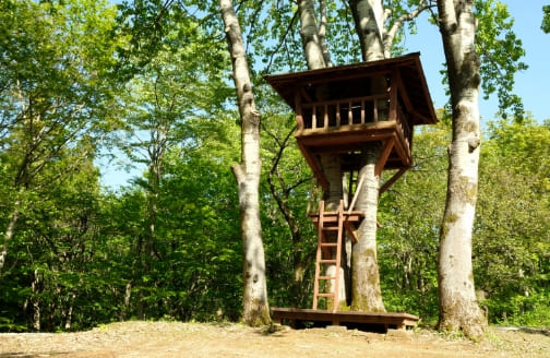 ツリーハウス