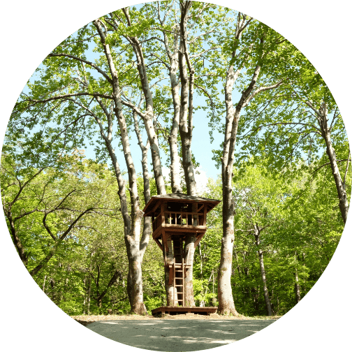 ポイント1 イメージ