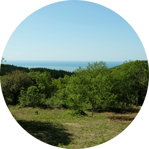 ポイント2 イメージ