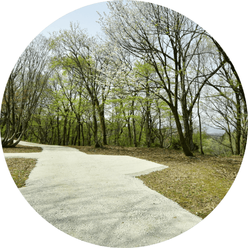 ポイント3 イメージ