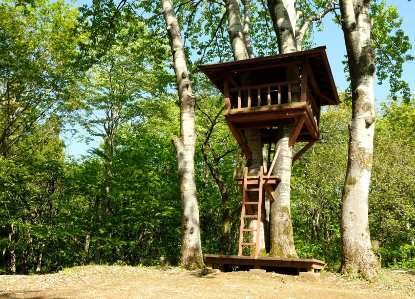 ツリーハウス